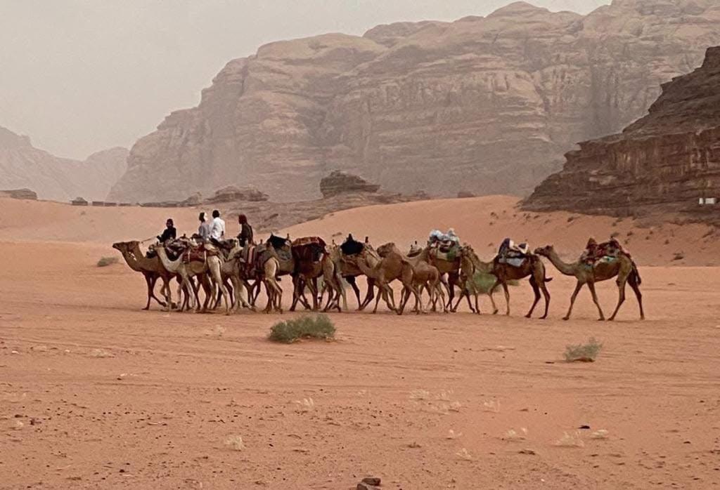 Wadi Rum Trail Esterno foto