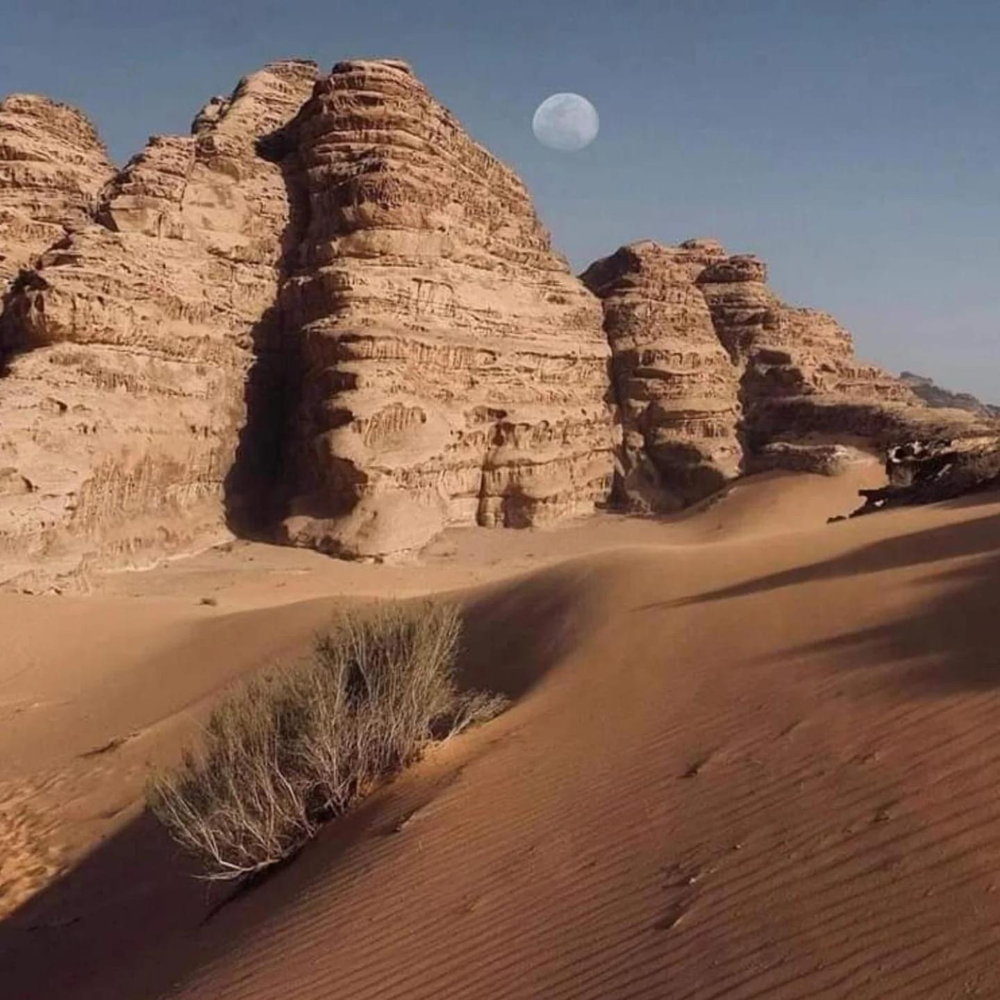 Wadi Rum Trail Esterno foto